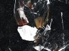 Bjoern Candidus - EXTRAMUNDAN (7)
