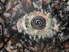 Bjoern Candidus - DAS UNENDLICHE CHAOS