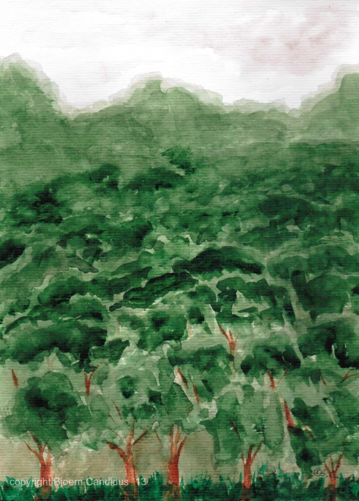 NUR WALD /  Aquarell auf Papier / ca. 28,5cm x 21cm / 2012