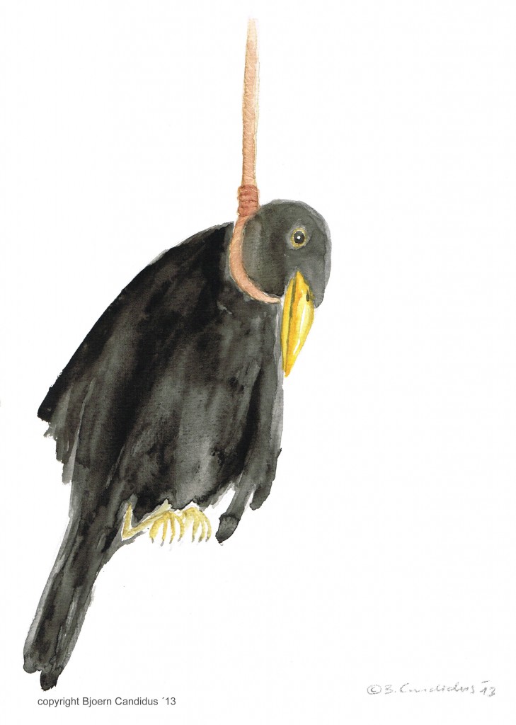 DIE NACHT DER SELBSTMORD-AMSEL / Aquarell auf Papier / 21 x 29,7cm / 2013