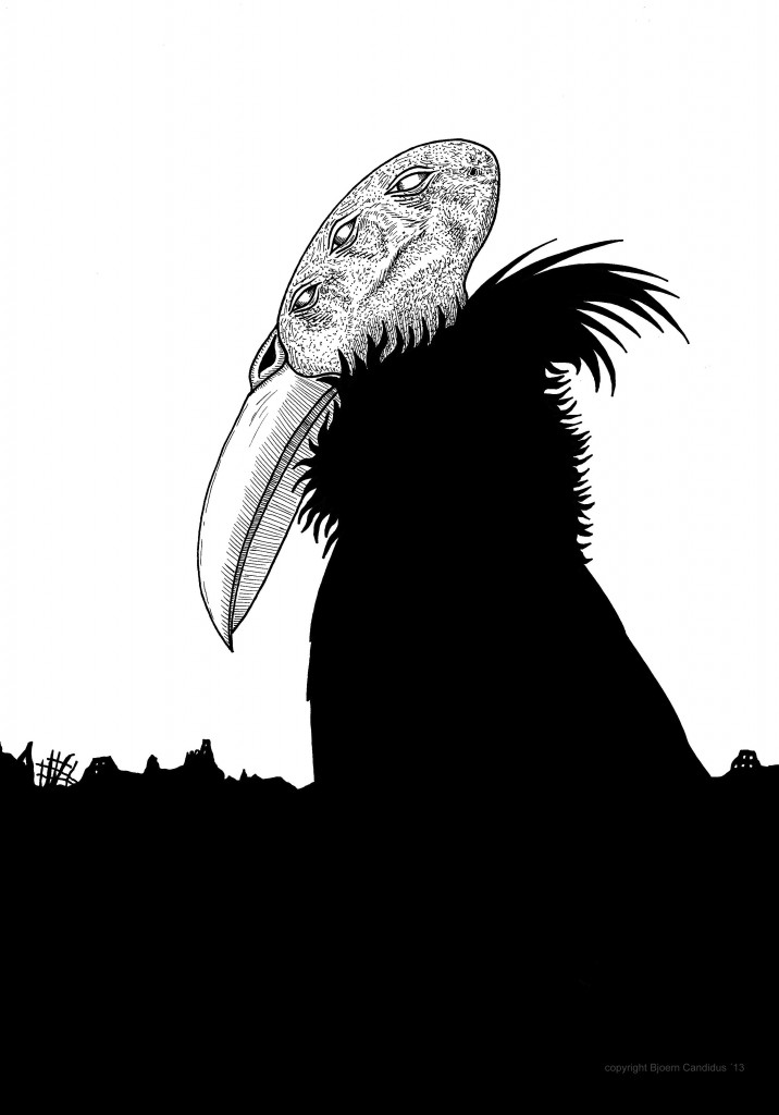 sw_006_c