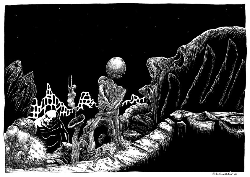 Bjoern Candidus
DER GARTEN DER LIEBE
2020