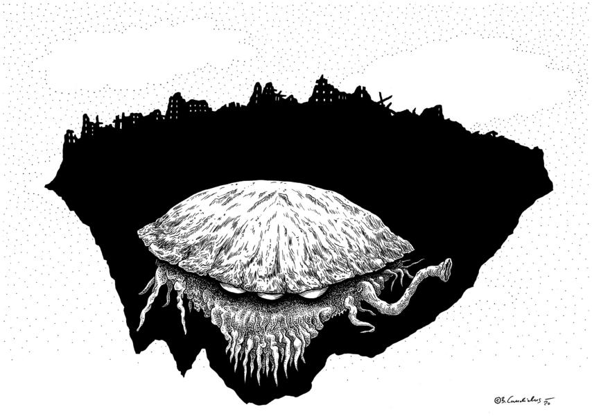 Bjoern Candidus
EROBERER 
2020