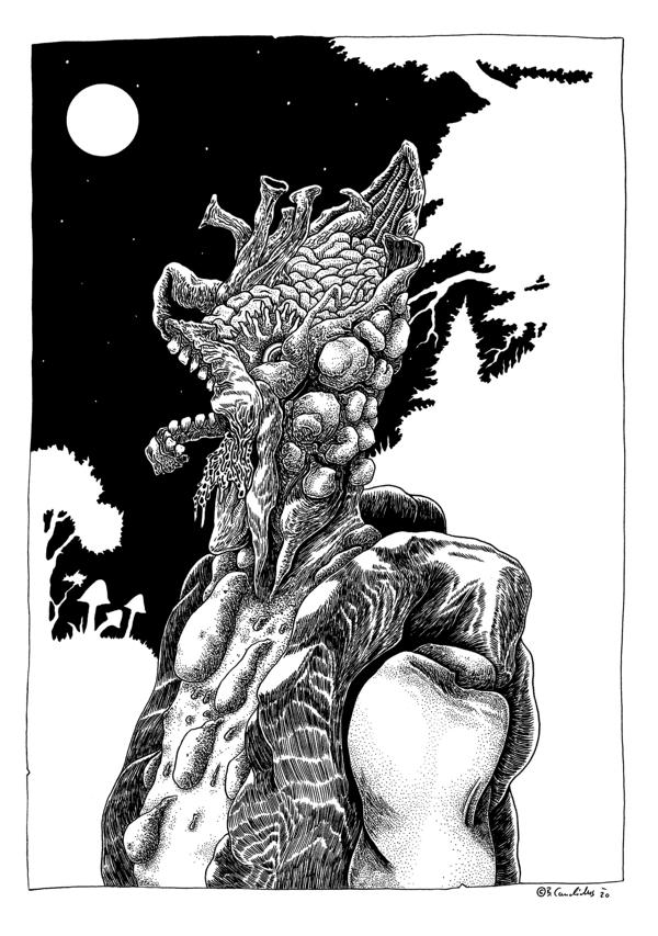 Bjoern Candidus
ENTENMANN
2020