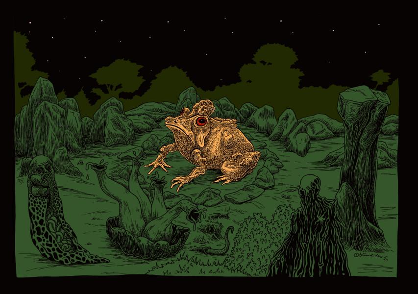 Bjoern Candidus
KEIN FROSCHKÖNIG / Zeichnung, digital bearbeitet
2020