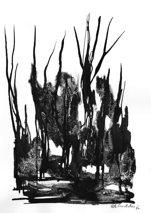 SCHWARZWALD (1) / Tusche auf Papier / 21,0 x 29,7 / 2020
