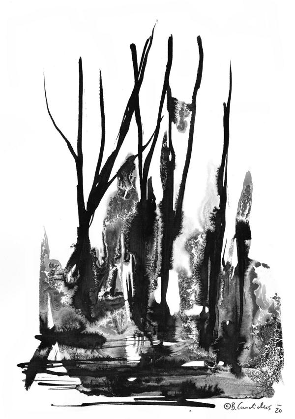 SCHWARZWALD (2) / Tusche auf Papier / 21,0 x 29,7 / 2020