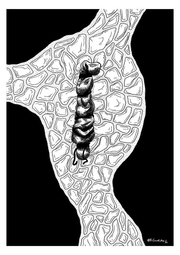 Bjoern Candidus 
DAS WOCHENENDE WAR SCHÖN
2020