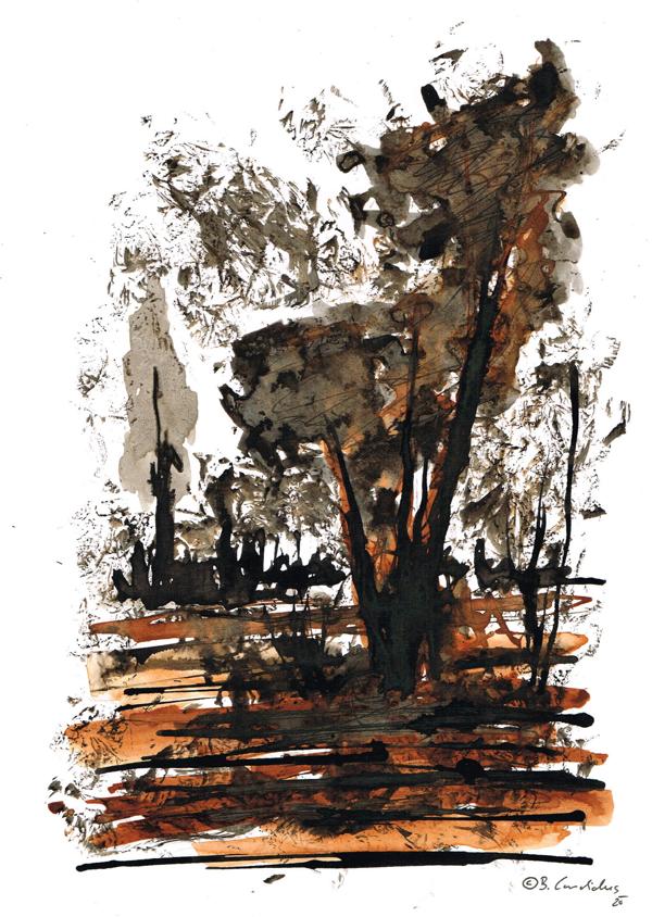 Bjoern Candidus
HERBSTSTURM 
Tusche auf Papier
21,0 x 29,7  
2020