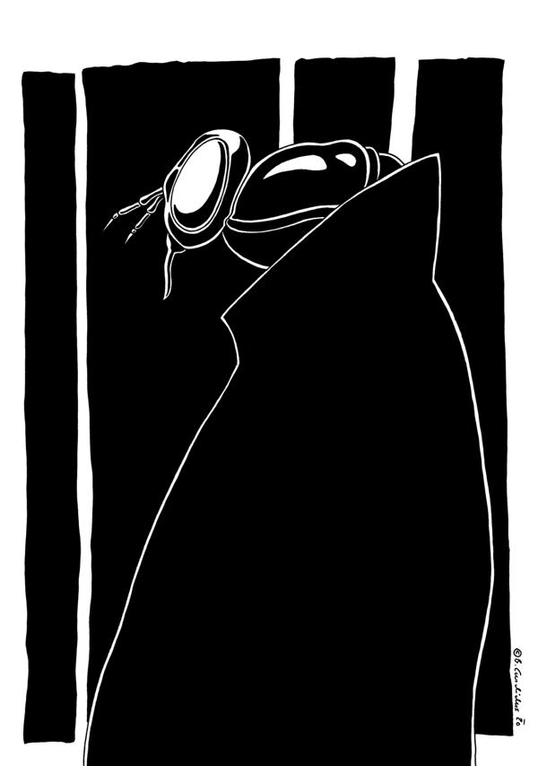 Bjoern Candidus
DR. BREMSE 
2020