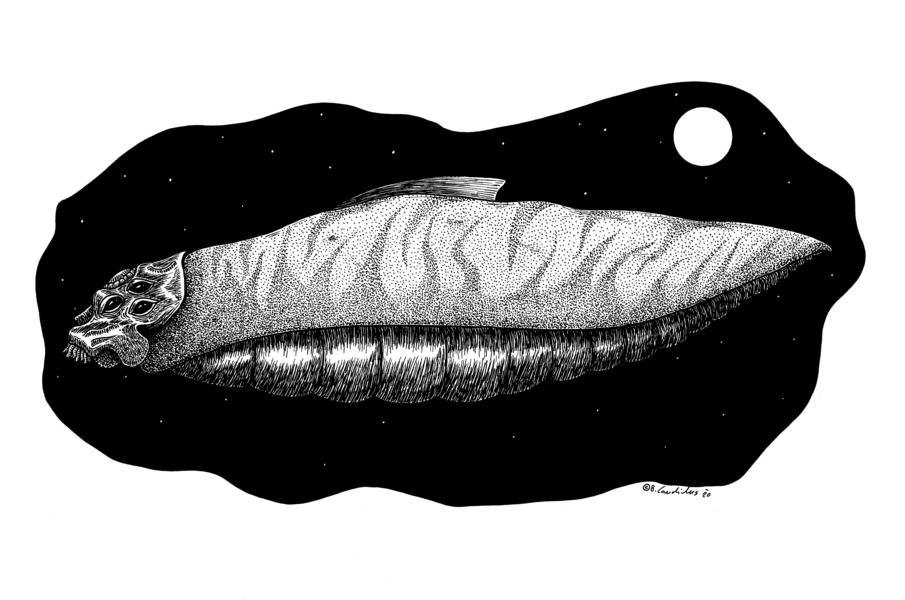 Bjoern Candidus
RAUMWURM / 2020